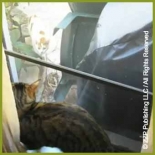 Chapter 26 - Kitty Comes to Visit