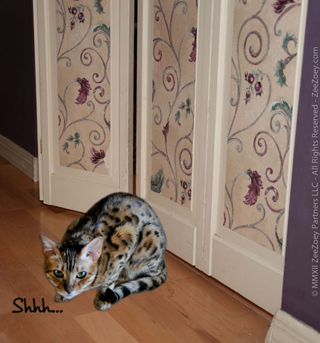 zoey-closet
