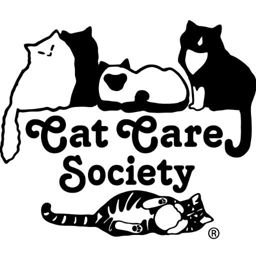 cat care
