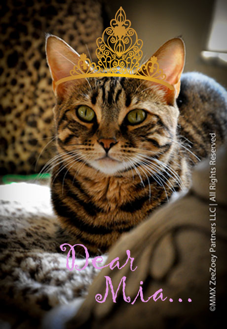 Dear Mia