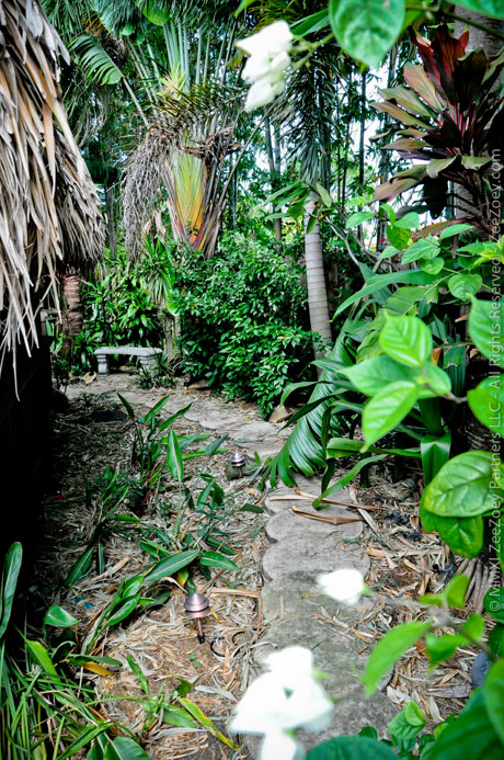 garden3