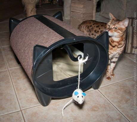 zoey-and-skratch-kabin