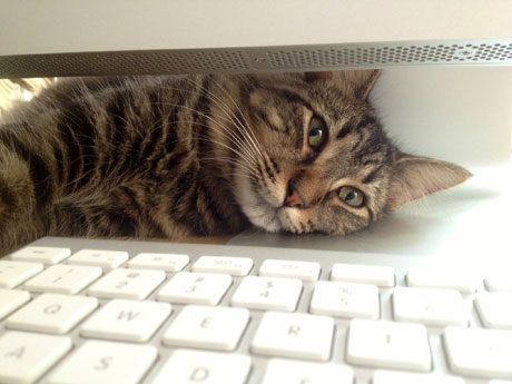 kizment-keyboard