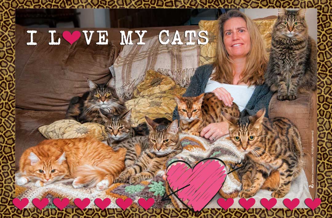 A happy cat parent shares the love of her cats in a multicat home