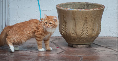 Jazmine1outside