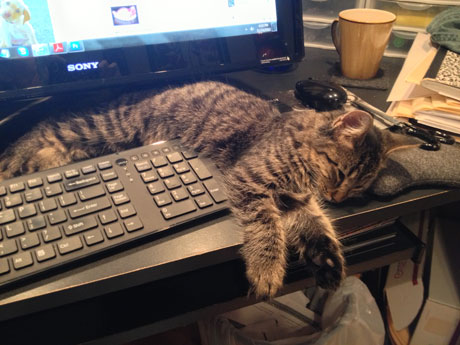 Kiz-keyboard