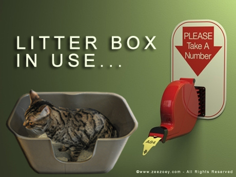 Litter Box in use