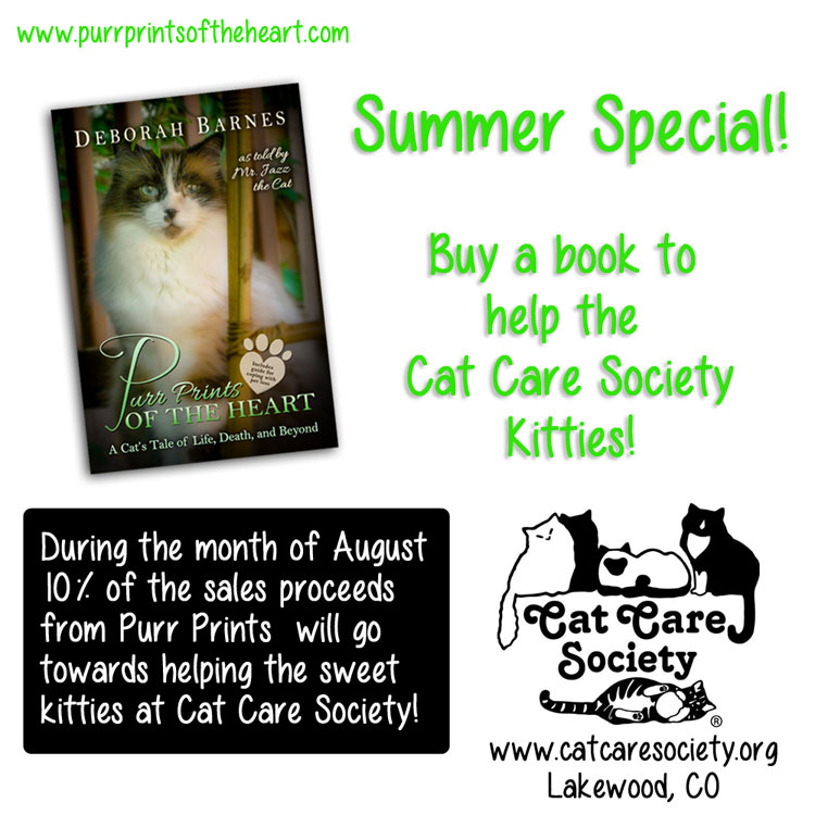 cat-care-promotion