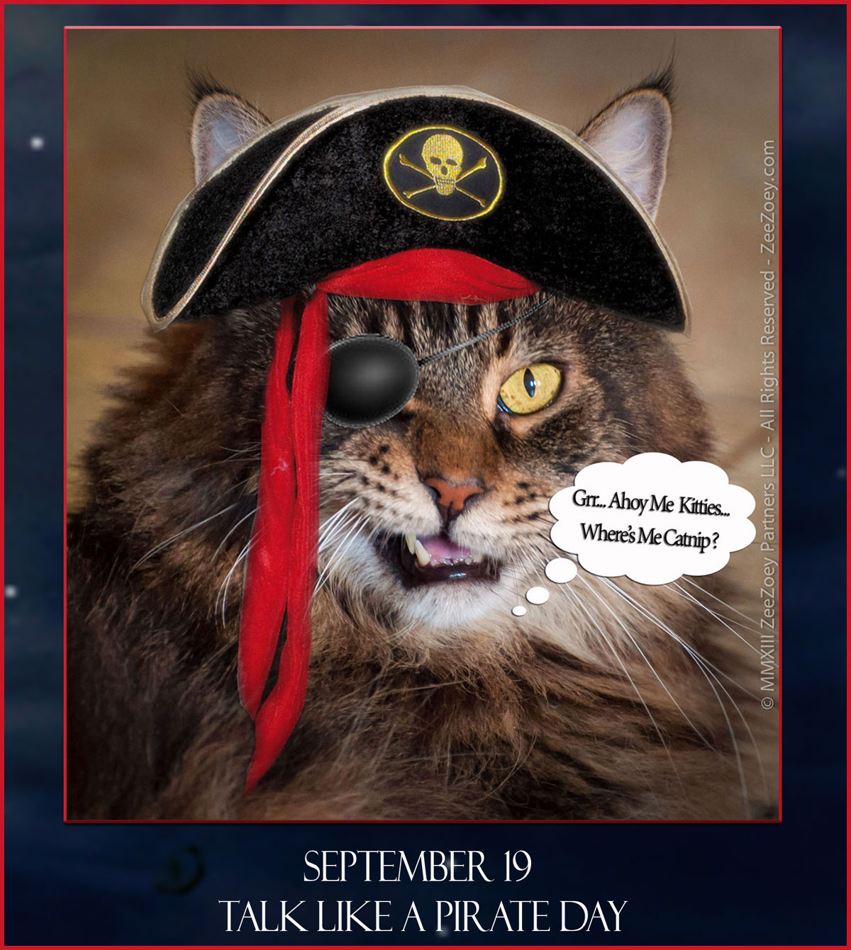 Ahoy! It's Talk Like a Pirate Day!
