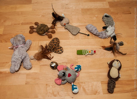 cat toys Cats like to bring plush toys into the bedroom at night