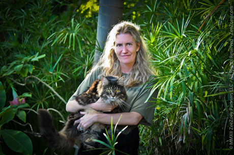 Zee and Deb Zee from Zee and Zoey's Cat Chronicles is a Maine Coon