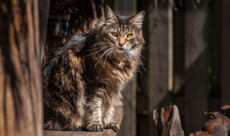 Zee outside zee-2016