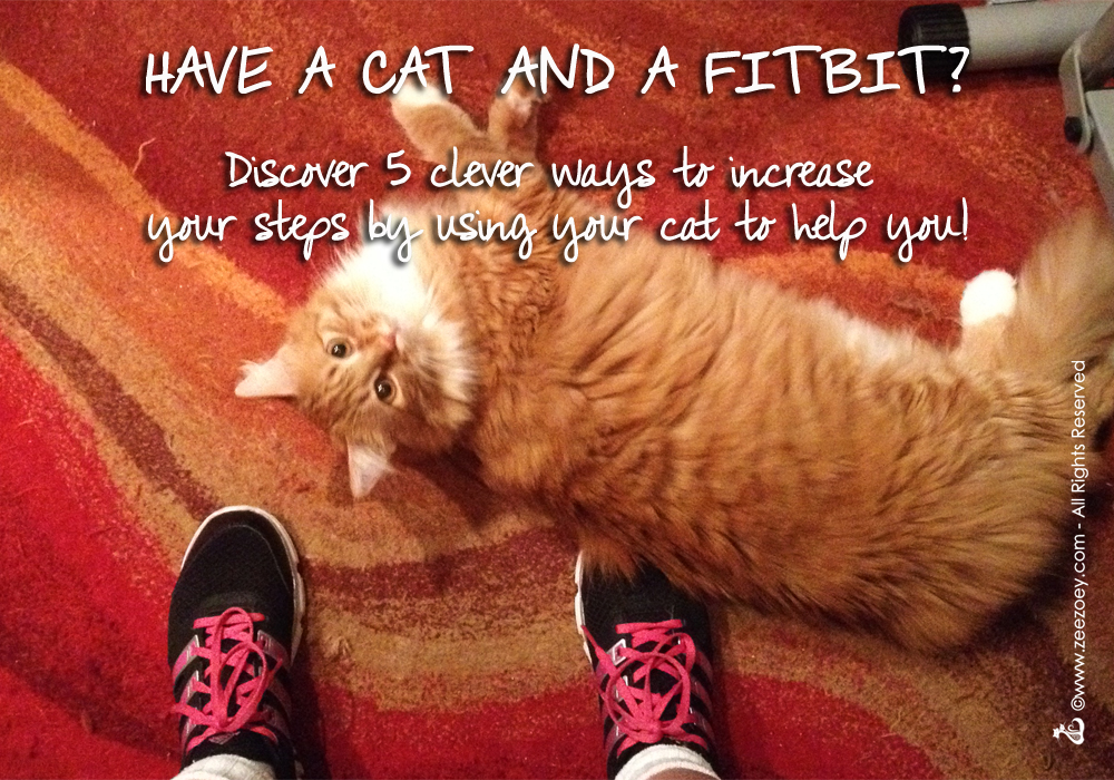How to Increase Steps With Fitbit by Incorporating Cats Into Your ...