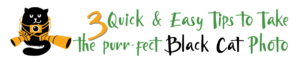 Cartoon black cat holding camera gear beside green and black handwritten text reading: 3 Quick & Easy Tips to Take the purr-fect Black Cat Photo."