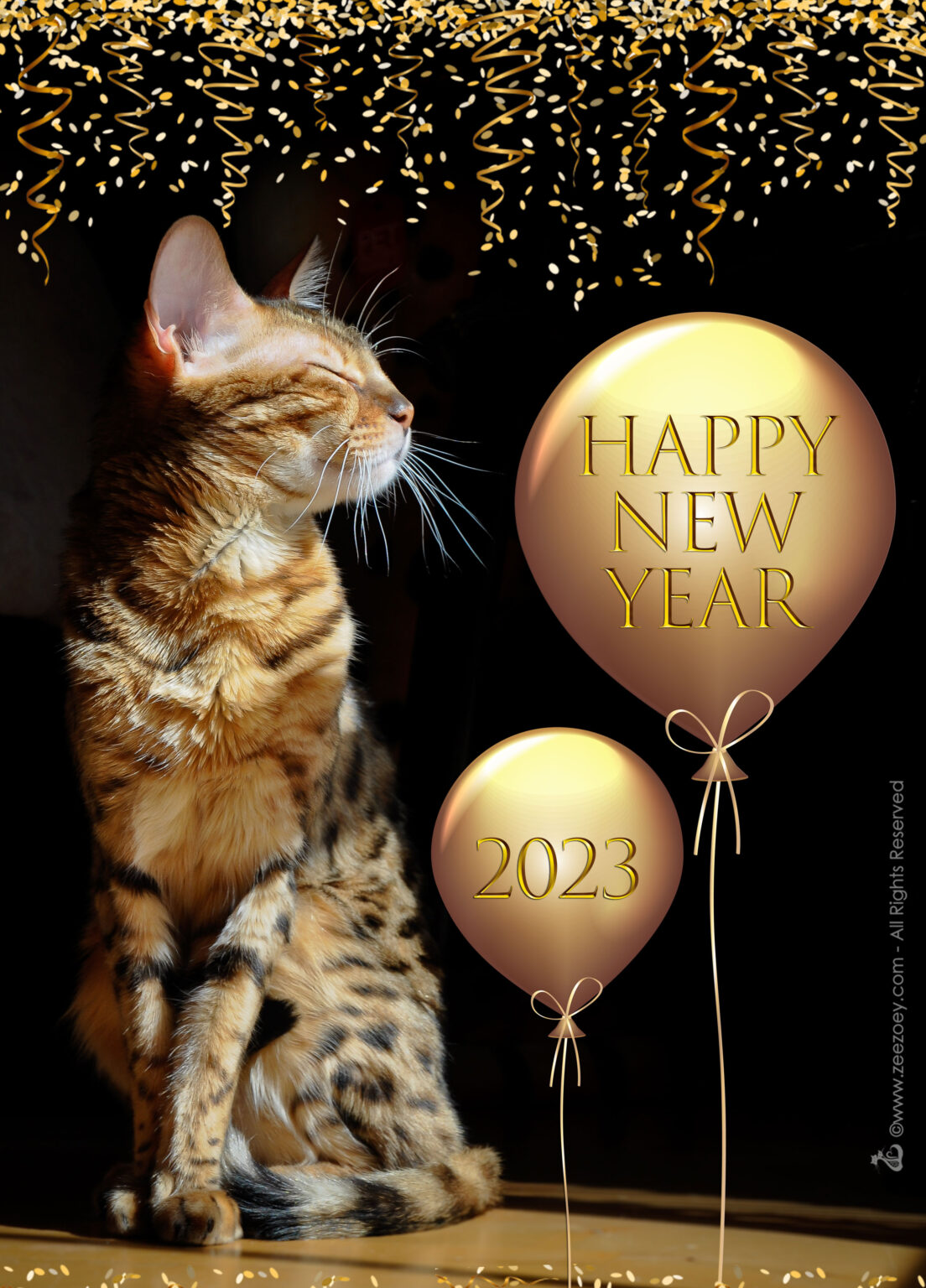 Happy New Year 2023 from Zee & Zoey’s Cat Chronicles